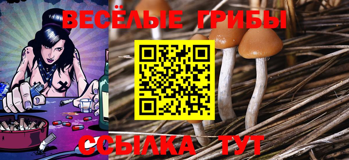 цена наркотик  Вход с VPN  Елец  Галлюциногенные грибы ЛСД 