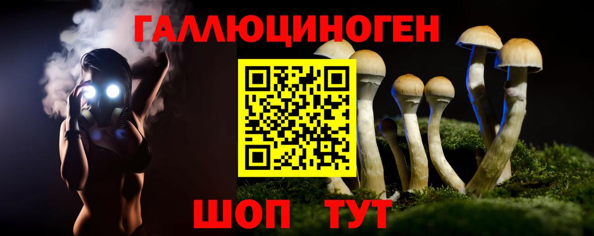 Псилоцибиновые грибы Psilocybe Елец